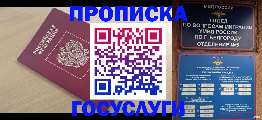 прописка законно в Сураже